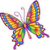 אליה לוי's photo