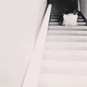 Nina Halim's photo