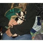 Nancy Willhite's photo