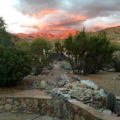 Janis Bray's photo