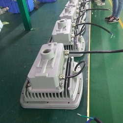 LED Explosion proof Light - Products