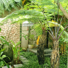 Tropical Garden