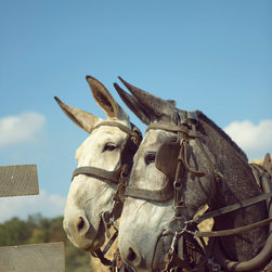 Country Classics - Products