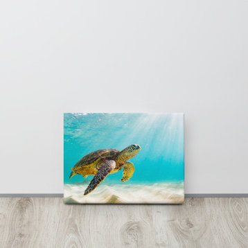 Hawaiian Green Sea Turtle Sea Animal Wildlife Photograph Canvas Wall Art Print, 12" X 16"
