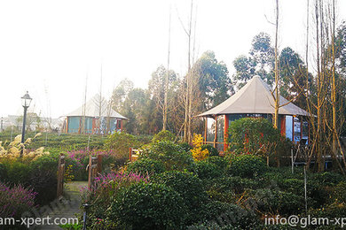 Luxury Tent Homes Set In Green Tea Garden