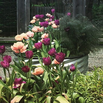 long harbour vegetable garden