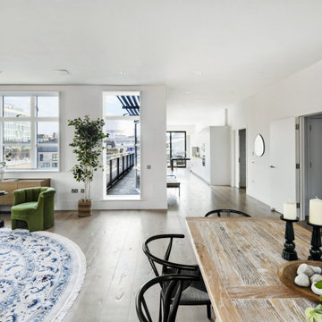 Full Apartment Renovation in Highbury & Islington