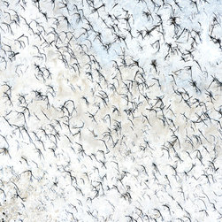 'From 4000 Feet' #09 - Fine Art Prints
