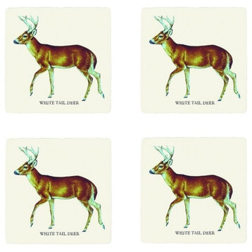 Woodland White Tail Deer Absorbent Drink Coasters Set of 4