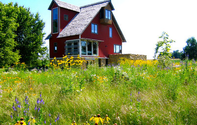 Gardening Solutions for Heavy Clay Soils
