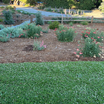 Encinitas Pollinator Garden