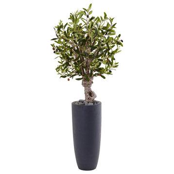 3.5' Olive Artificial Tree, Gray Cylinder Planter