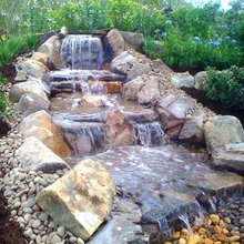koi ponds