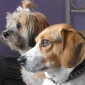Foto von Marsha Pecor