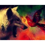 Mohammad Mosleh's photo