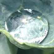 John Geary's photo