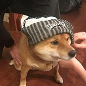 Jill Krasting's photo