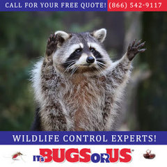It’s Bugs Or Us Pest Control - Fort Worth