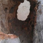 Henry Brazil's photo