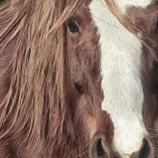 Sue Hays's photo