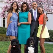 Janelle Clarke's photo
