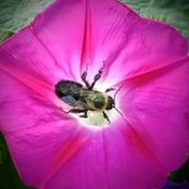 Katherine Stevenson's photo
