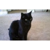 Stephanie Lusk's photo