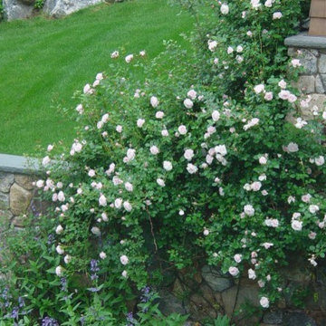 Mendham, NJ Natural Stone Wall