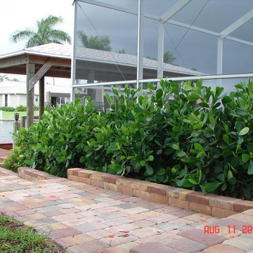 Our Work