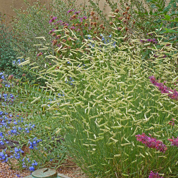 Sustainable Gardening