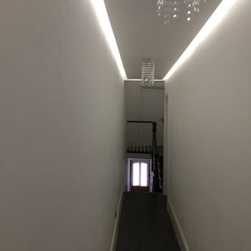 Hidden Lights