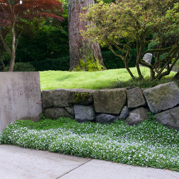 Moss gardens