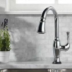 Be Bold with Brizo - Kitchen Products