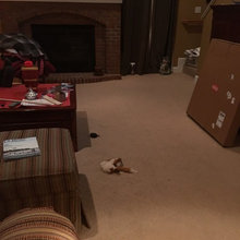 family room