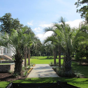 Palm Tree Gallery