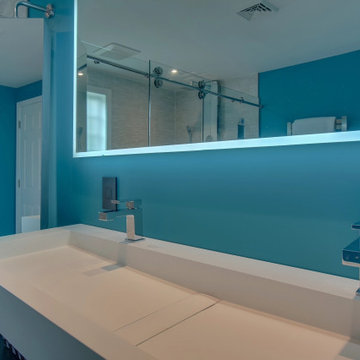 Master Bathroom Remodel