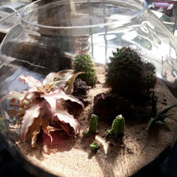Project No.- 123 - Terrariums