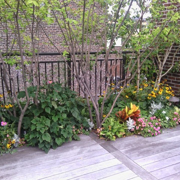 NYC Rooftop Garden Drip Irrigation System landscape lighting