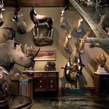 trophy room