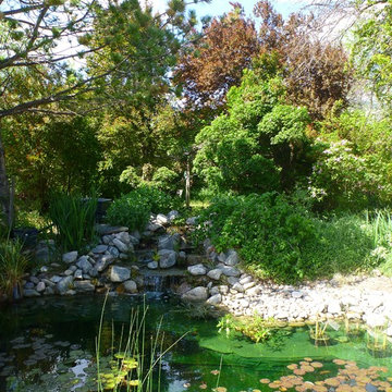 Demonstration Ponds