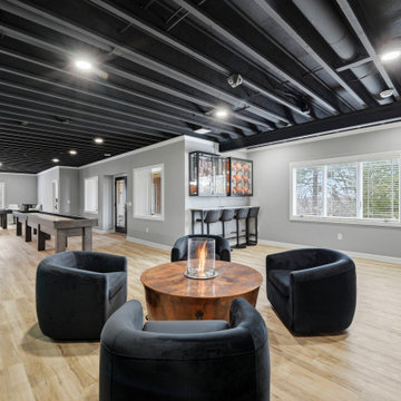 Custom Theater Focused Basement - Delafield, WI
