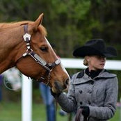 Heidi Mihm's photo