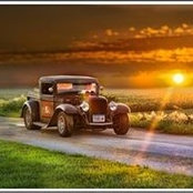 Shari Garbez's photo