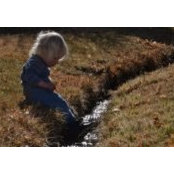 Nicole McMann's photo