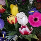 Lorraine Ewings foto