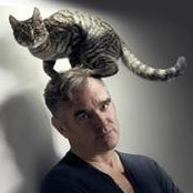 Dave Gregory's photo