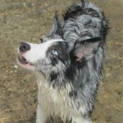 Debbie McLean's photo