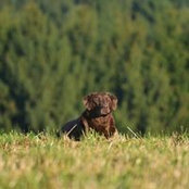 Sandra Groene's photo