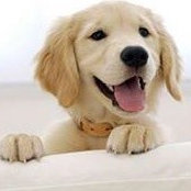 Kathy Dasani's photo
