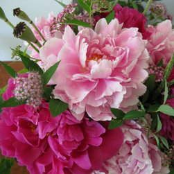 Flora Verdura - Products